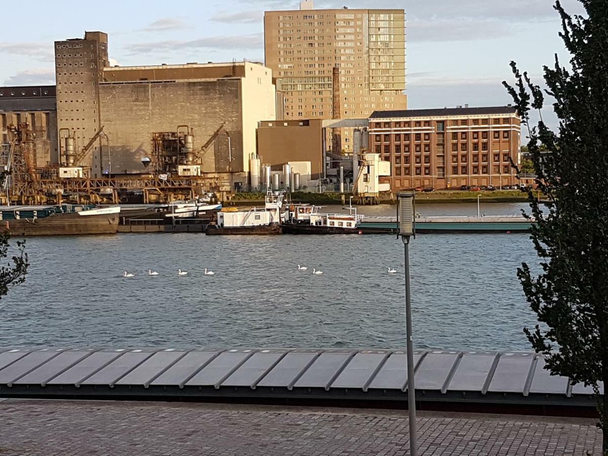 Sewdien'S Apartment Maashaven Rotterdam Bagian luar foto